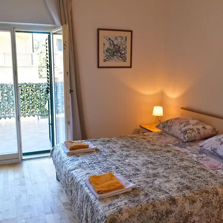 Maslina * Stari Grad (Hvar)