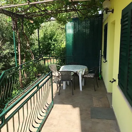 Apartment Maslina *